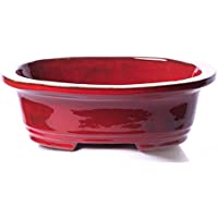Alfareros Damian Canovas Maceta para Bonsai DE Barro Y ESMALTADA EN Color Rojo. Medidas 25X20X7CM.Modelos Osaka.con TU…